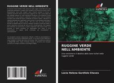 Capa do livro de RUGGINE VERDE NELL'AMBIENTE 