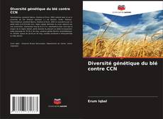 Bookcover of Diversité génétique du blé contre CCN