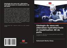 Bookcover of Géologie du sous-sol, altération hydrothermale et modélisation 3D de puits