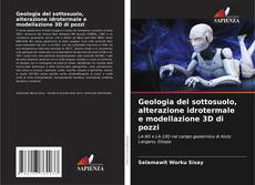 Bookcover of Geologia del sottosuolo, alterazione idrotermale e modellazione 3D di pozzi