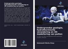 Copertina di Ondergrondse geologie, hydrothermische verandering en 3D-modellering van putten
