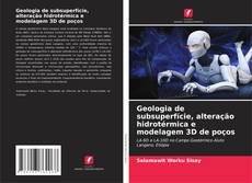Bookcover of Geologia de subsuperfície, alteração hidrotérmica e modelagem 3D de poços
