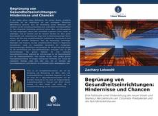 Copertina di Begrünung von Gesundheitseinrichtungen: Hindernisse und Chancen