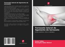 Couverture de Tornozelo lateral do ligamento do tornozelo