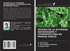 ESTUDIO DE LA ACTIVIDAD ANTIOXIDANTE Y CITOPROTECTORA DE MIMOSA PUDICA的封面