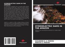 Capa do livro de HYDROELECTRIC DAMS IN THE AMAZON 