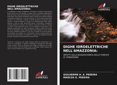 Bookcover of DIGHE IDROELETTRICHE NELL'AMAZZONIA: