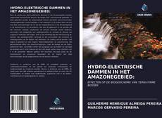 Bookcover of HYDRO-ELEKTRISCHE DAMMEN IN HET AMAZONEGEBIED:
