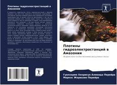 Portada del libro de Плотины гидроэлектростанций в Амазонии