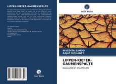 LIPPEN-KIEFER-GAUMENSPALTE kitap kapağı