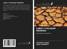 Обложка LABIO Y PALADAR HENDIDO