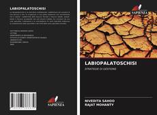 Bookcover of LABIOPALATOSCHISI