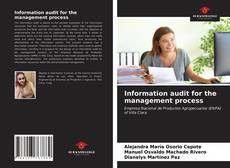 Capa do livro de Information audit for the management process 