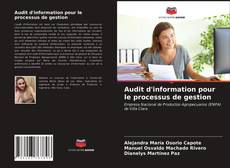 Audit d'information pour le processus de gestion的封面