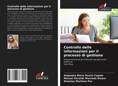 Bookcover of Controllo delle informazioni per il processo di gestione