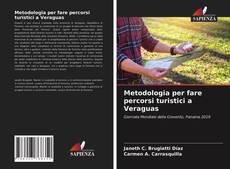 Bookcover of Metodologia per fare percorsi turistici a Veraguas