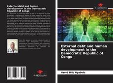 Capa do livro de External debt and human development in the Democratic Republic of Congo 