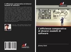 Bookcover of L'efficienza comparativa di diversi modelli di software