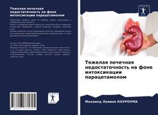 Buchcover von Тяжелая почечная недостаточность на фоне интоксикации парацетамолом