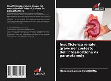 Bookcover of Insufficienza renale grave nel contesto dell'intossicazione da paracetamolo