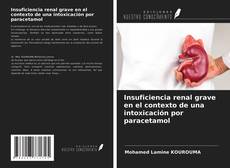 Portada del libro de Insuficiencia renal grave en el contexto de una intoxicación por paracetamol