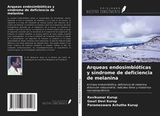 Portada del libro de Arqueas endosimbióticas y síndrome de deficiencia de melanina