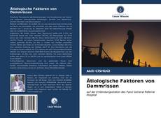 Buchcover von Ätiologische Faktoren von Dammrissen