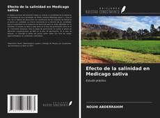 Borítókép a  Efecto de la salinidad en Medicago sativa - hoz
