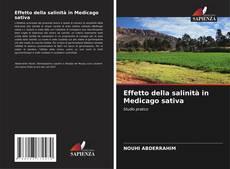 Bookcover of Effetto della salinità in Medicago sativa