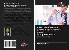 Bookcover of E.coli produttore diβ-lattamasi a spettro esteso:Una panoramica