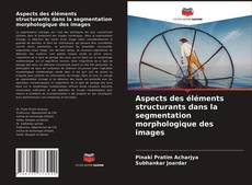 Couverture de Aspects des éléments structurants dans la segmentation morphologique des images