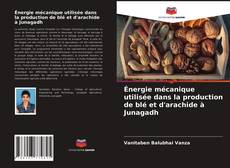 Borítókép a  Énergie mécanique utilisée dans la production de blé et d'arachide à Junagadh - hoz