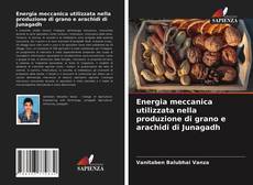 Energia meccanica utilizzata nella produzione di grano e arachidi di Junagadh kitap kapağı