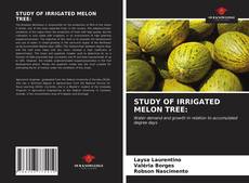 Capa do livro de STUDY OF IRRIGATED MELON TREE: 