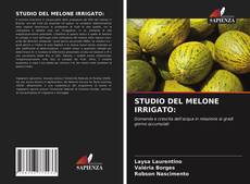 STUDIO DEL MELONE IRRIGATO: kitap kapağı