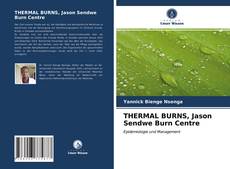 Bookcover of THERMAL BURNS, Jason Sendwe Burn Centre