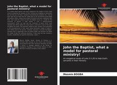 Capa do livro de John the Baptist, what a model for pastoral ministry! 