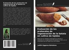 Borítókép a  Evaluación de los protocolos de regeneración de la batata en cultivo de tejidos - hoz