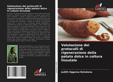 Bookcover of Valutazione dei protocolli di rigenerazione della patata dolce in coltura tissutale