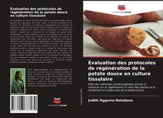 Обложка Évaluation des protocoles de régénération de la patate douce en culture tissulaire