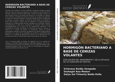 Capa do livro de HORMIGÓN BACTERIANO A BASE DE CENIZAS VOLANTES 