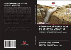 Обложка BÉTON BACTÉRIEN À BASE DE CENDRES VOLANTES