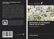Bookcover of Aerospora de Kadegaon Tahsil (M.S) India