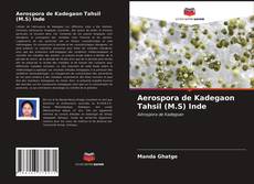 Couverture de Aerospora de Kadegaon Tahsil (M.S) Inde