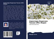 Couverture de Аэроспора Кадегаон Тахсил (МС) Индия