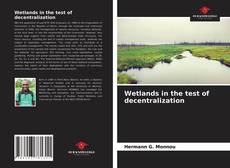 Capa do livro de Wetlands in the test of decentralization 