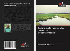 Bookcover of Zone umide messe alla prova dal decentramento