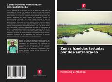 Capa do livro de Zonas húmidas testadas por descentralização 