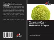 Bookcover of Maclura pomifera : caratterizzazione fitochimica e biologica