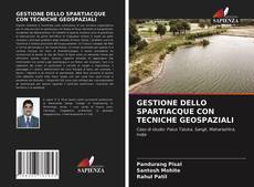 Bookcover of GESTIONE DELLO SPARTIACQUE CON TECNICHE GEOSPAZIALI